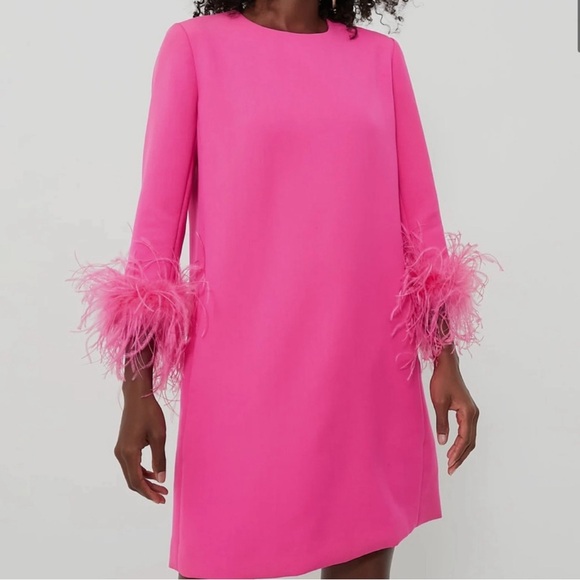 Tuckernuck NWT Hot Pink Feather Mod Mary Dress - Picture 2 of 5